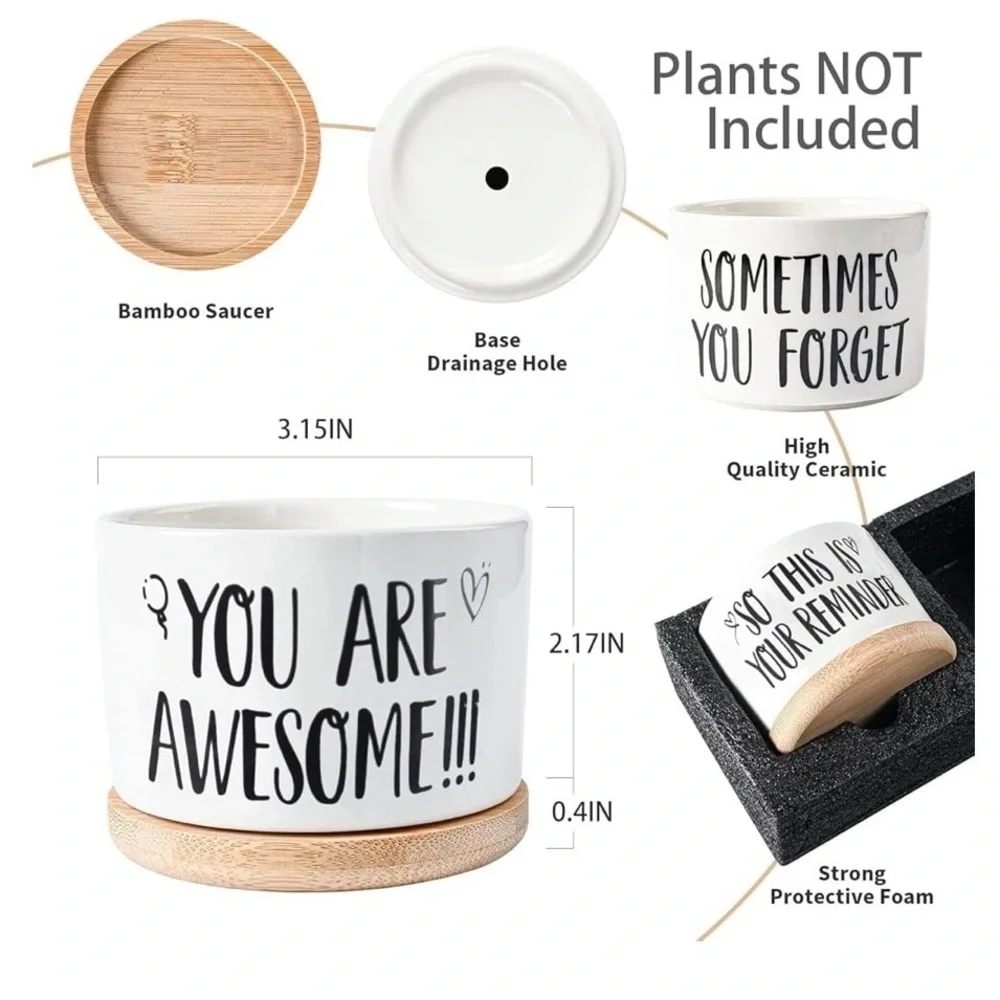 Set of Three Succulent Planters with Inspirational Quotes